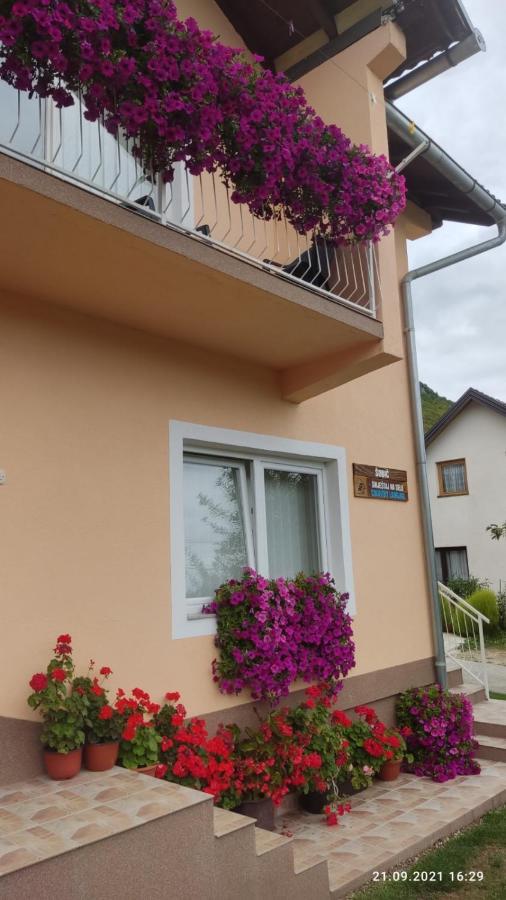 Guest House Sobic Sipovo Exterior photo